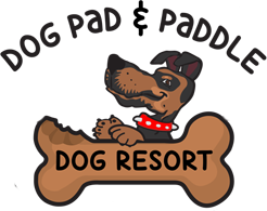 Dog Pad & Paddle - Dog Daycare & Boarding