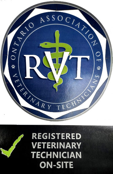 Dog Pad & Paddle - Registered Veterinary Technician